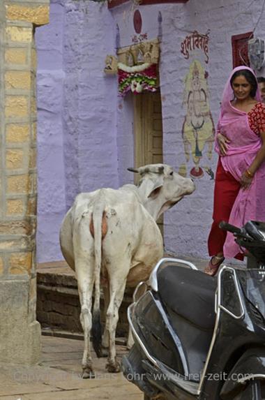 08 Jaisalmer-Walk_DSC3226_b_H600